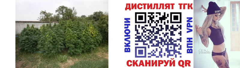 Дистиллят ТГК Wax  Сухиничи 