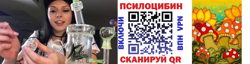 Псилоцибиновые грибы Cubensis  цена   Сухиничи 
